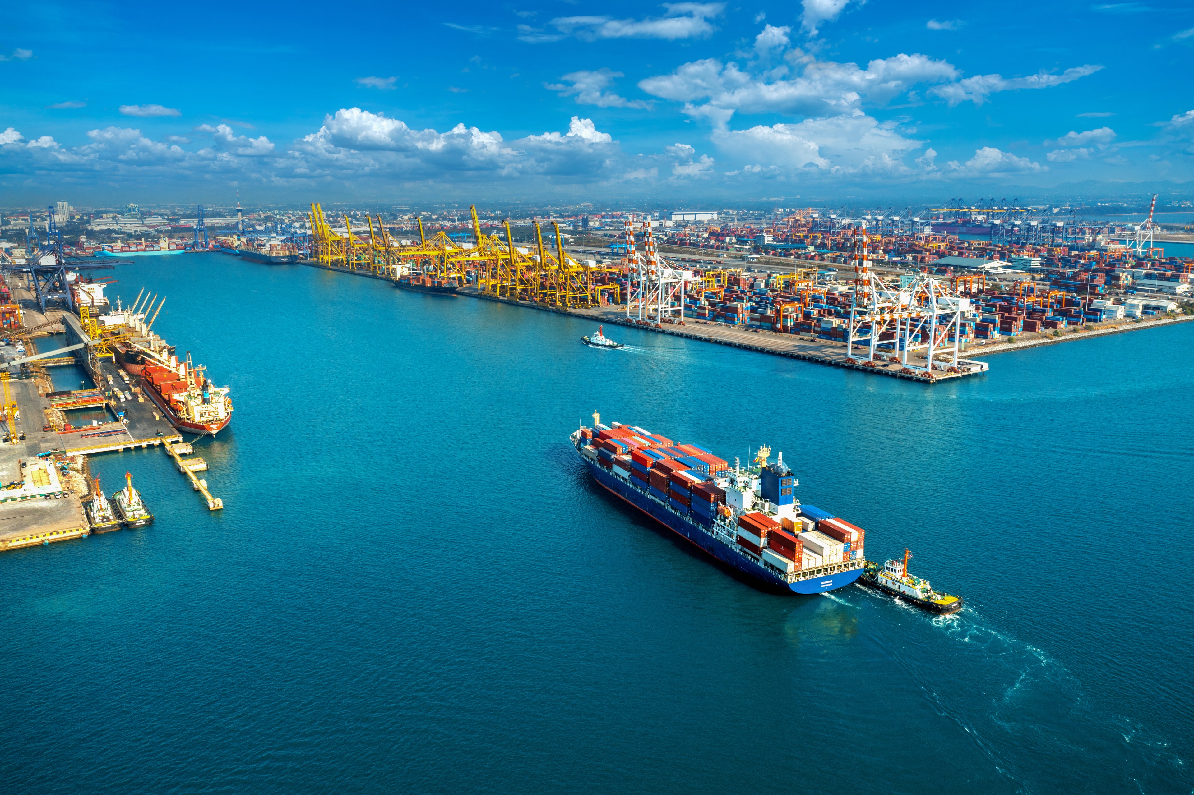 Sea Freight logistics services by WMX